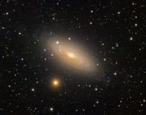 Spiral Galaxy NGC 2841 Image Credit & Copyright: Vitali Pelenjow