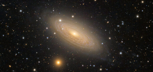 Spiral Galaxy NGC 2841 Image Credit & Copyright: Vitali Pelenjow